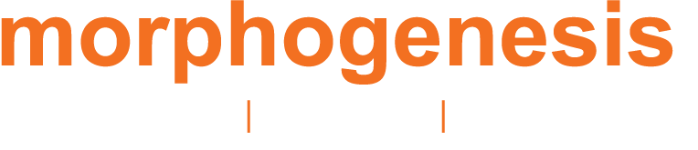 Morphogensis Logo